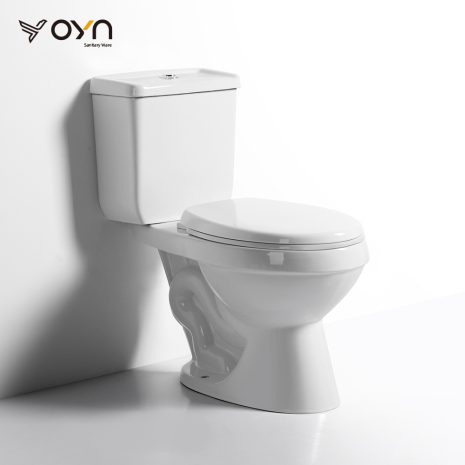 FT2 Two-piece Toilet (1)