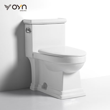 M17-1B One-piece Toilet (1)