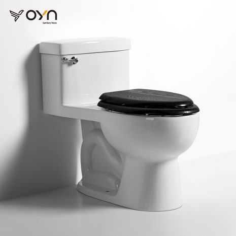 M5-3 One-piece Toilet (1)