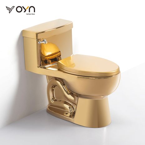 M5EL One-piece Toilet (1)