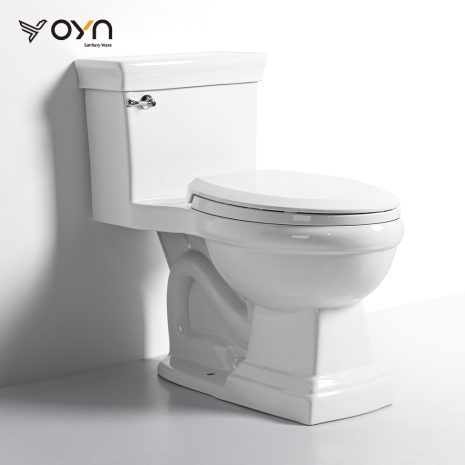 M7-1 One-piece Toilet (1)