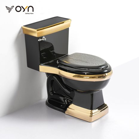 M7HEL One-piece Toilet (1)