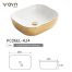 PC06EL-A24 Countertop Basin (2)